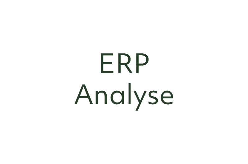 Referenzprojekte ERP-Analyse