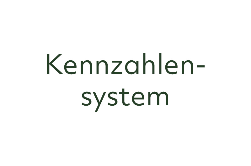 Referenzprojekte Kennzahlensystem